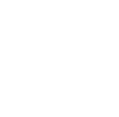 Precision & Professionalism